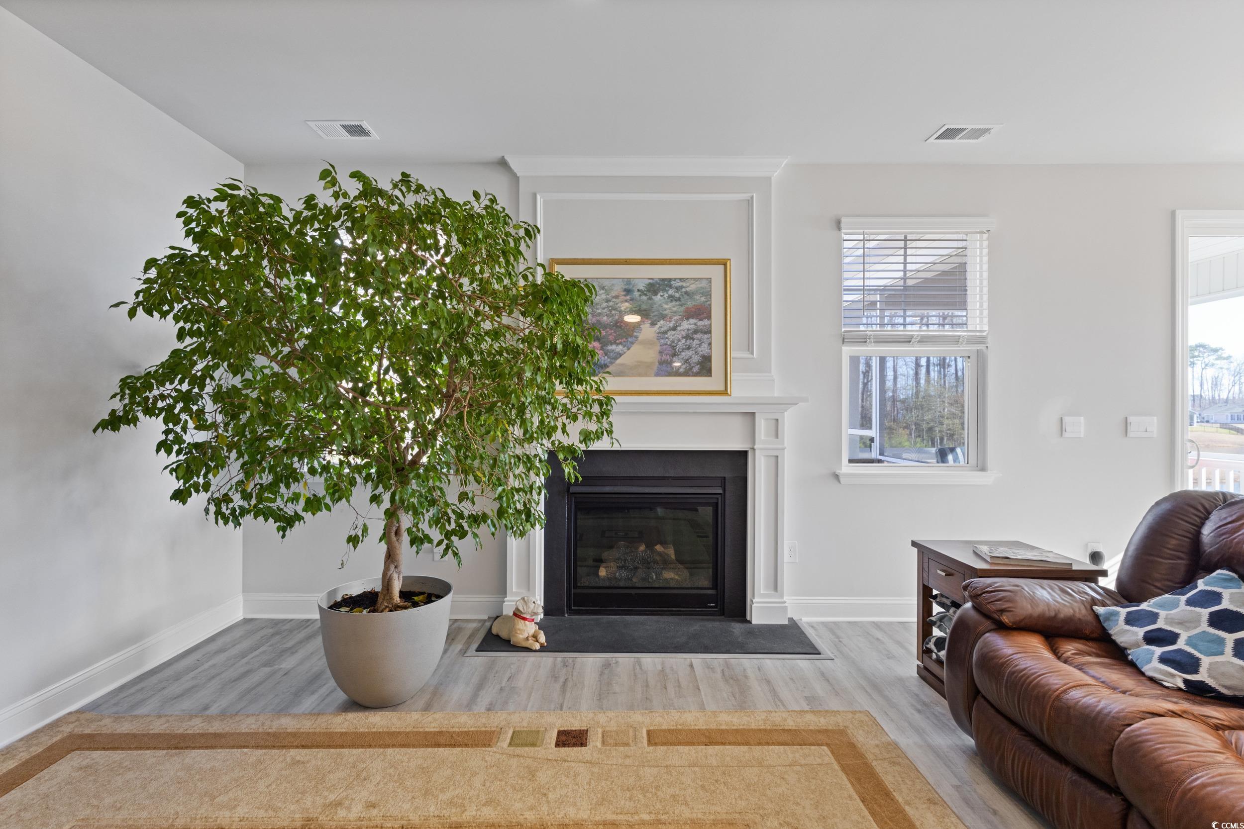 4070 Rutherford Court Little River, SC 29566 - Photo 36 of 40 Living room with light wood finished floors and a fireplace with flush hearth