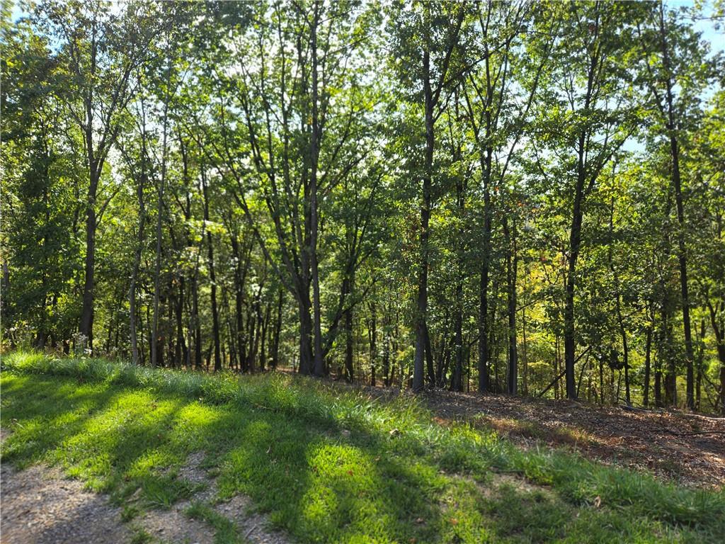 128 Reservoir Road, Unit B Mars, PA 16046 - Photo 2 of 18 a view of outdoor space and yard