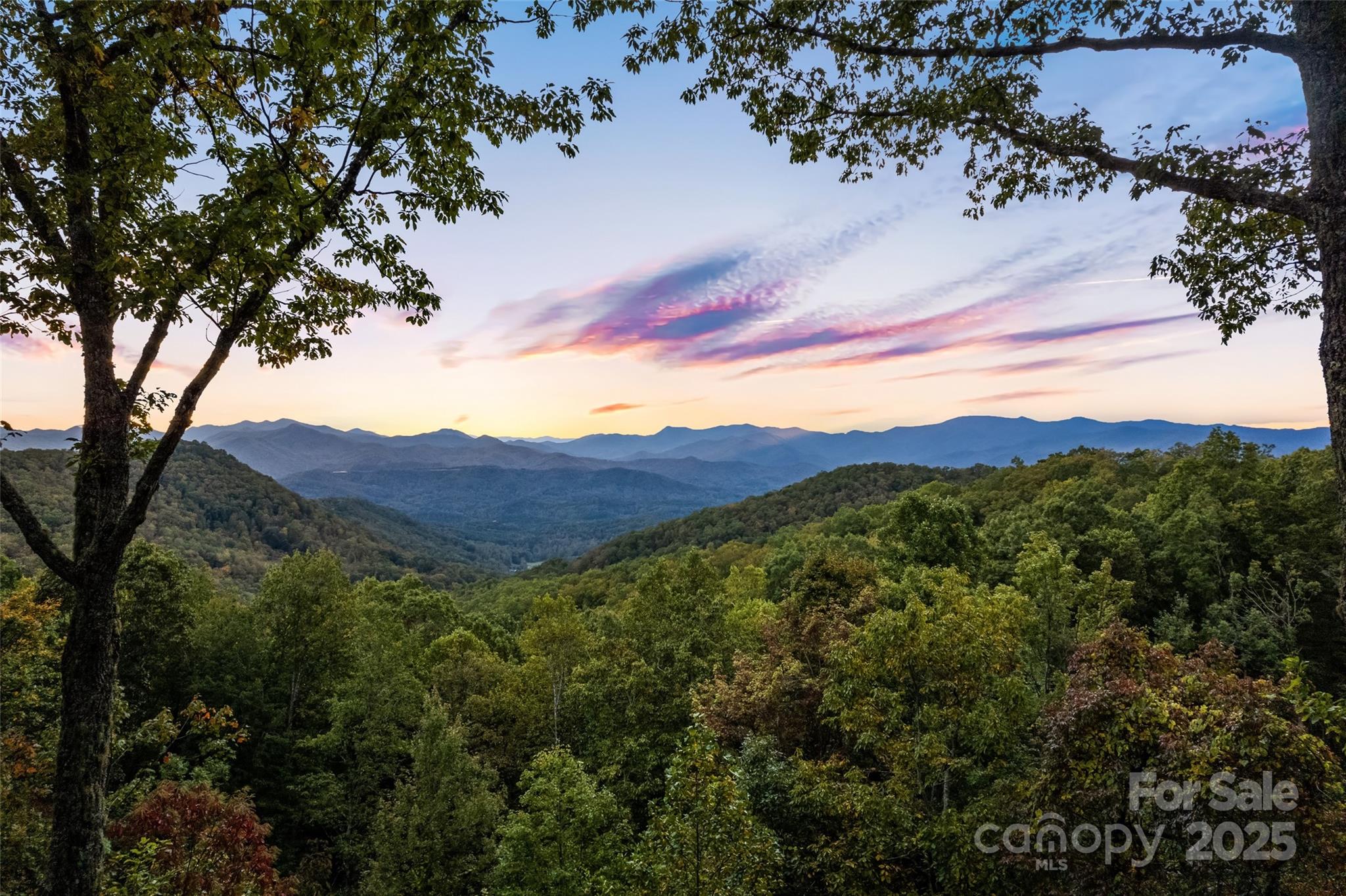 1635 Quest Ridge Sylva, NC 28779 - Photo 2 of 48 a view of a city with a tree in the background