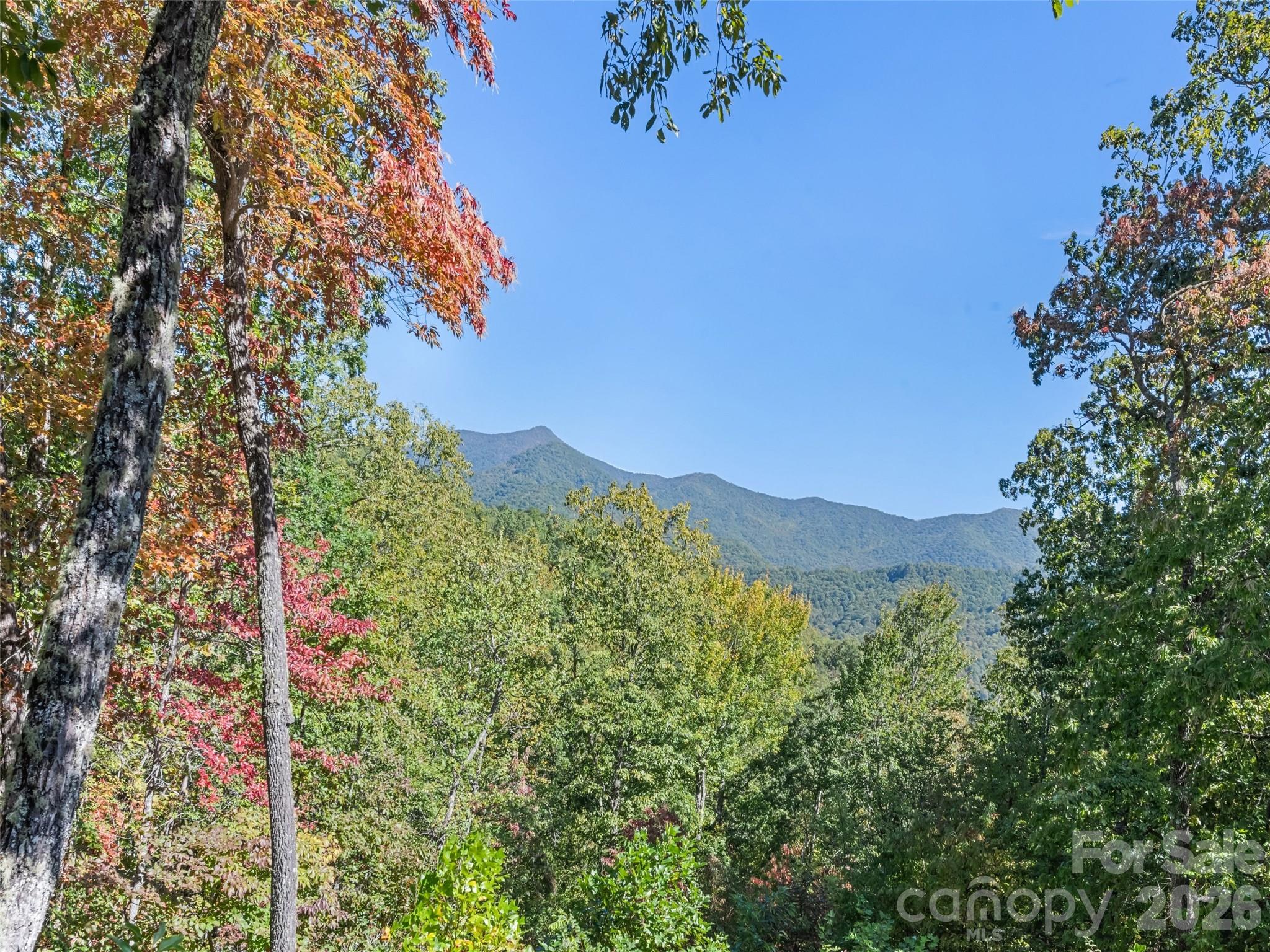 1635 Quest Ridge Sylva, NC 28779 - Photo 46 of 48 a view of a mountain