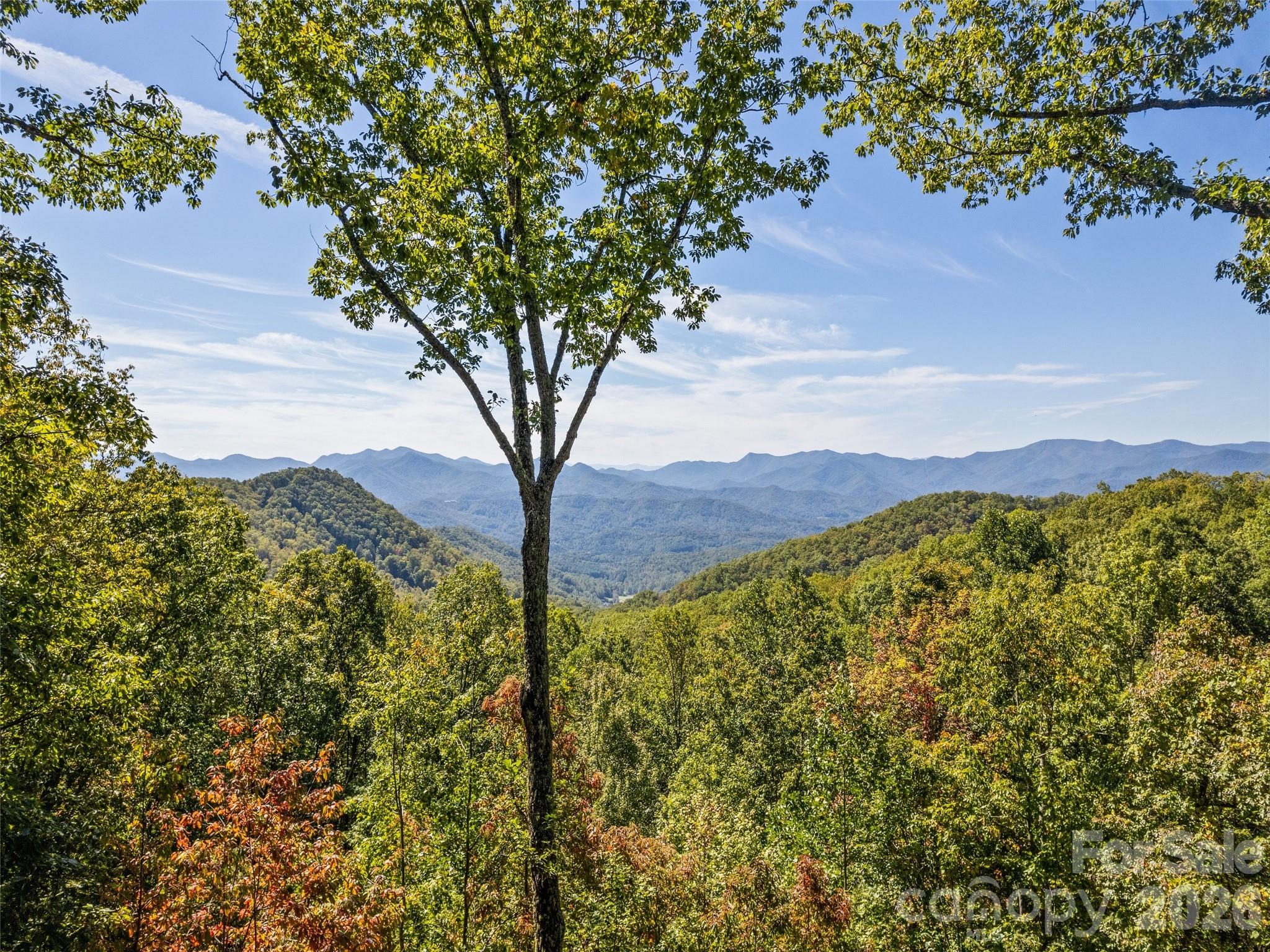 1635 Quest Ridge Sylva, NC 28779 - Photo 47 of 48 a view of a yard with a mountain