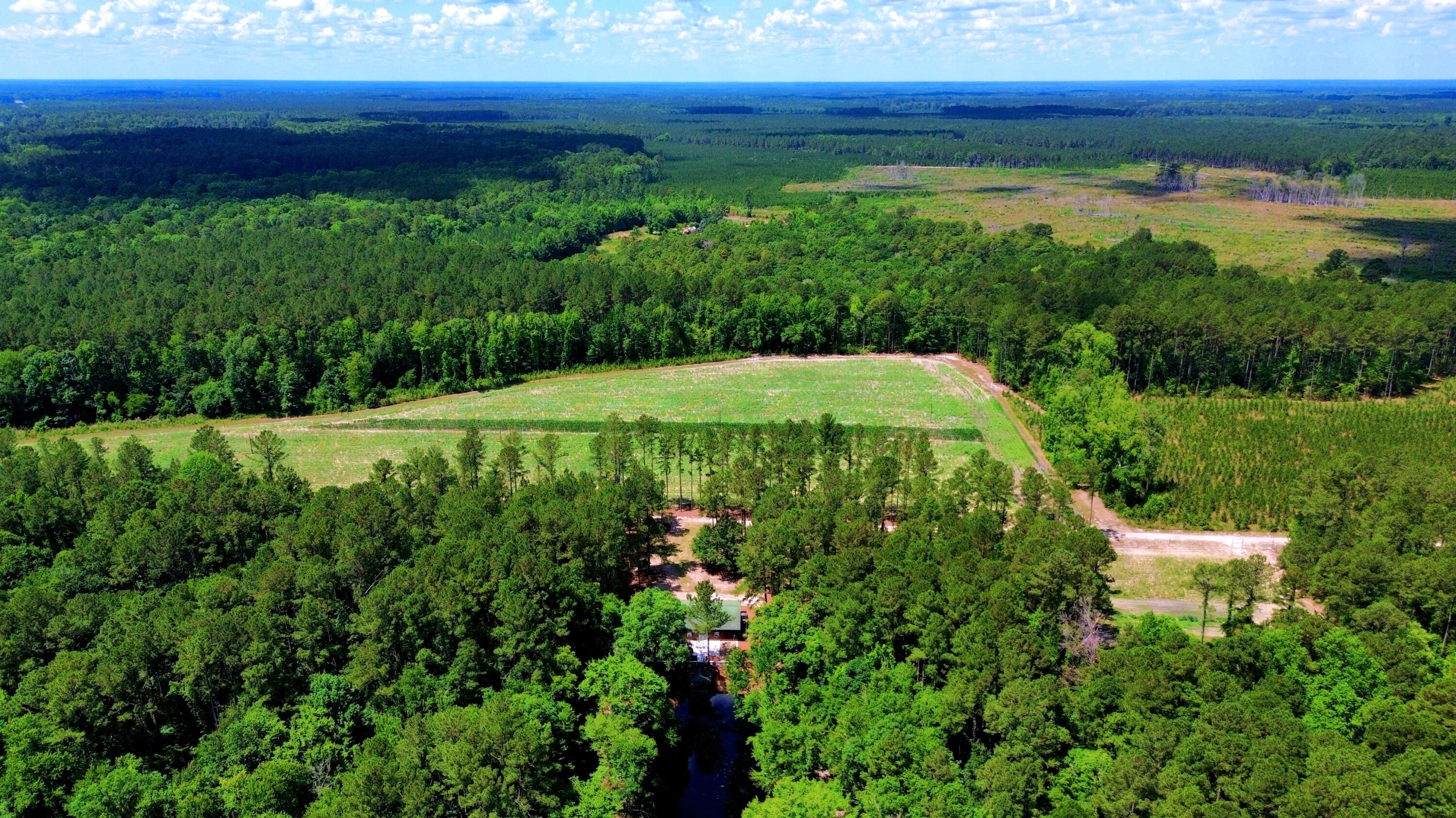 1970 Cross Swamp Road Islandton, SC 29929 - Photo 44 of 150