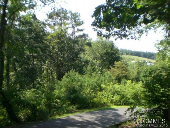 22 Gouges Branch Road Leicester, NC 28748 - Photo 1 of 12 Gallery Image 1
