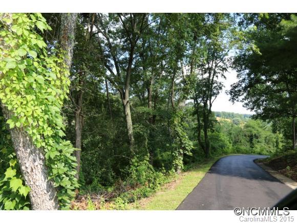 22 Gouges Branch Road Leicester, NC 28748 - Photo 2 of 12 Gallery Image 2
