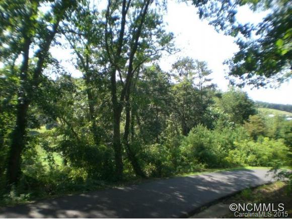 22 Gouges Branch Road Leicester, NC 28748 - Photo 3 of 12 Gallery Image 3