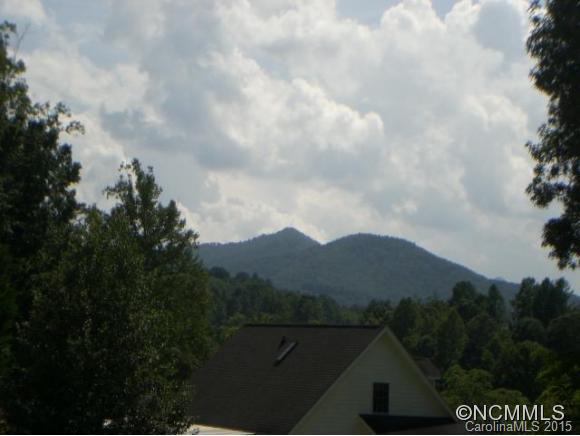 22 Gouges Branch Road Leicester, NC 28748 - Photo 5 of 12 Gallery Image 5
