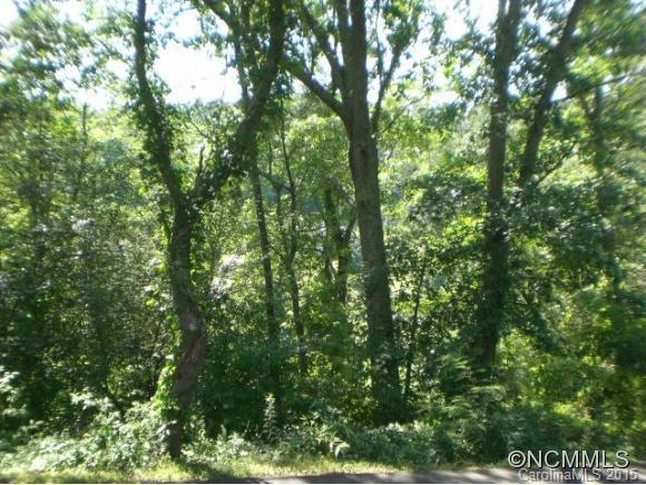 22 Gouges Branch Road Leicester, NC 28748 - Photo 6 of 12 Gallery Image 6
