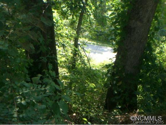 22 Gouges Branch Road Leicester, NC 28748 - Photo 7 of 12 Gallery Image 7