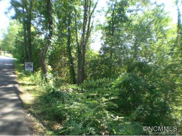 22 Gouges Branch Road Leicester, NC 28748 - Photo 8 of 12 Gallery Image 8