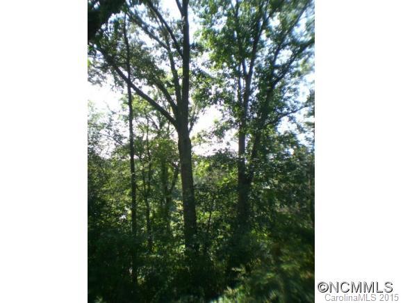 22 Gouges Branch Road Leicester, NC 28748 - Photo 9 of 12 Gallery Image 9