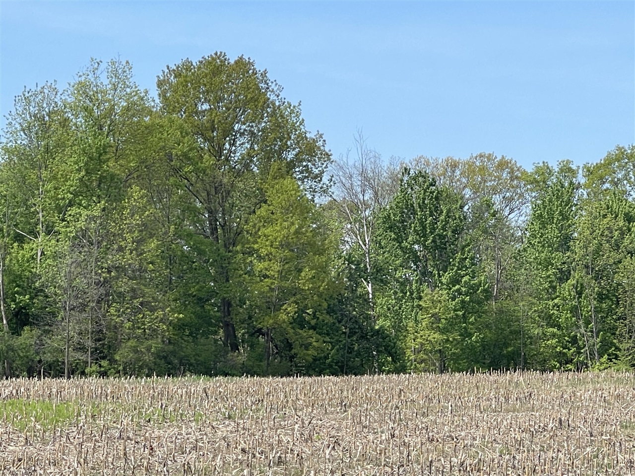 4514 22 Mile Road Northeast, Unit PARCEL 1 Sand Lake, MI 49343 - Photo 15 of 17