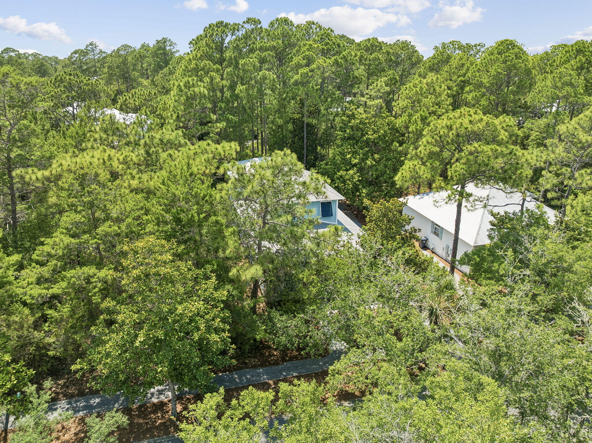 298 Cullman Avenue Santa Rosa Beach, FL 32459 - Photo 63 of 67 Array_298CullmanAve-3 (2)