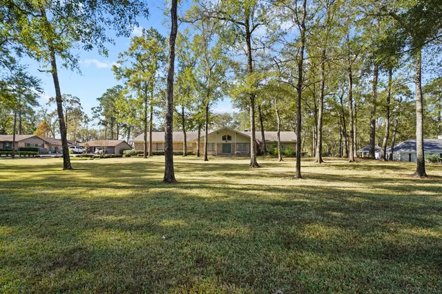 a view of a park with large trees