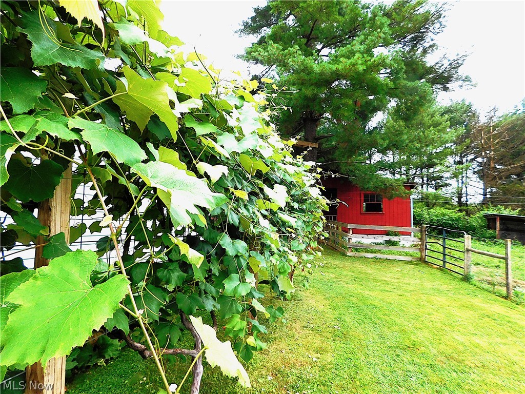 36800 Mann Ridge Road Jerusalem, OH 43747 - Photo 45 of 49