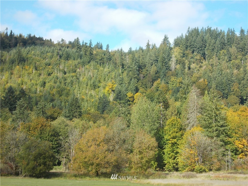 0 Hunter Road Southwest Rochester, WA 98579 - Photo 1 of 6