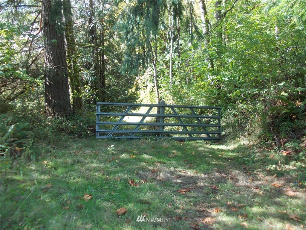 0 Hunter Road Southwest Rochester, WA 98579 - Photo 2 of 6