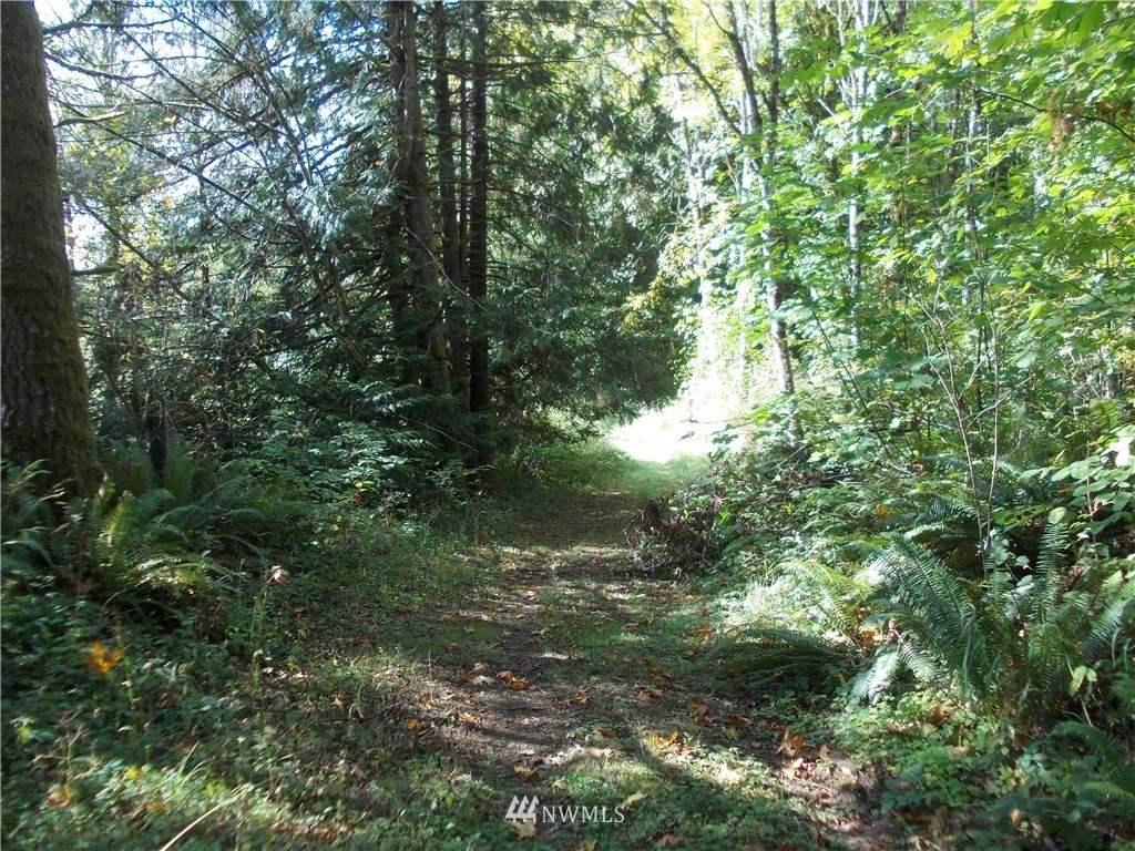 0 Hunter Road Southwest Rochester, WA 98579 - Photo 3 of 6