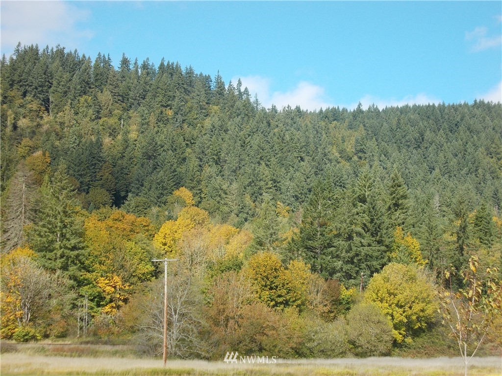 0 Hunter Road Southwest Rochester, WA 98579 - Photo 5 of 6