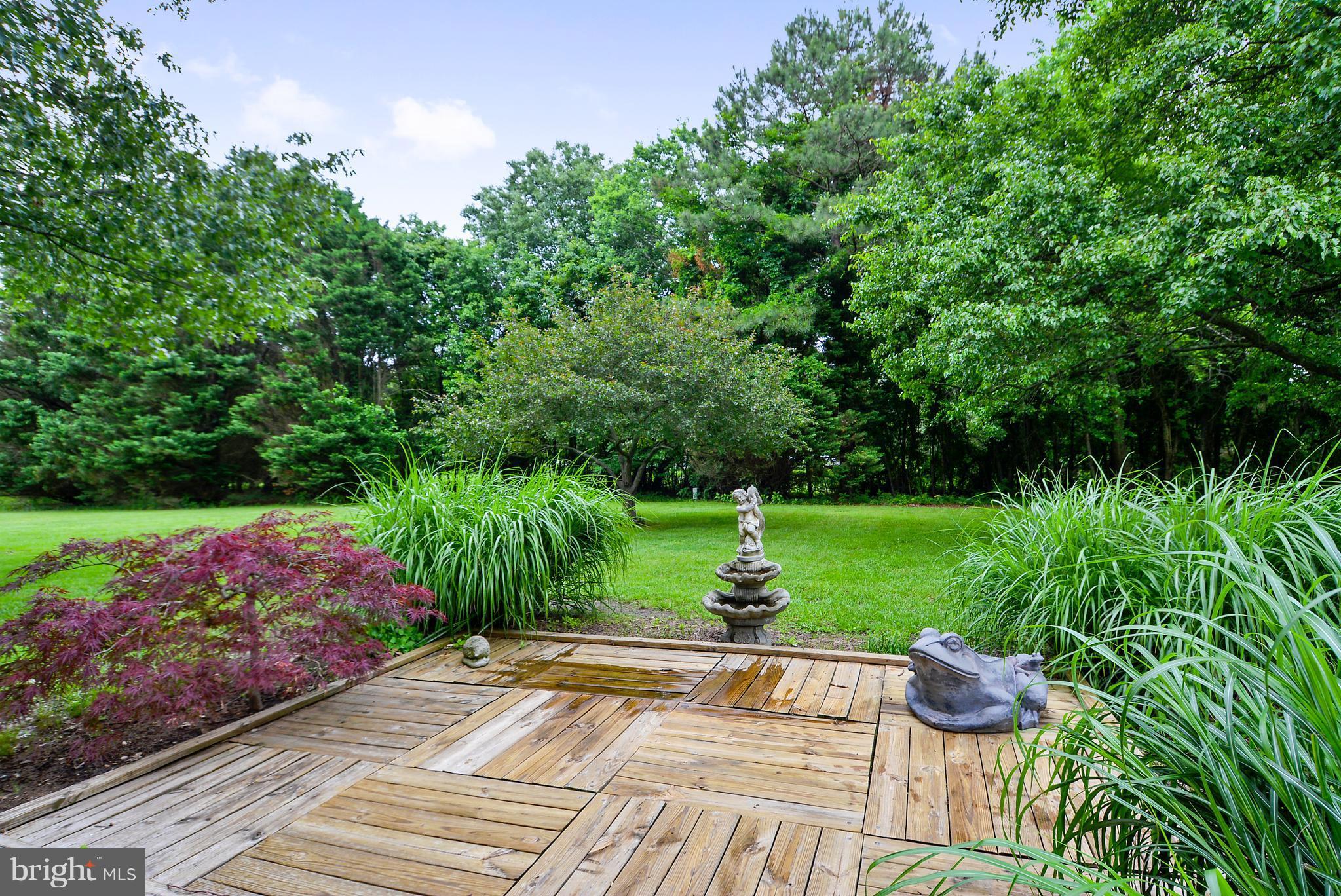 6523 Locust Grove Road Easton, MD 21601 - Photo 7 of 28 Exterior (General)