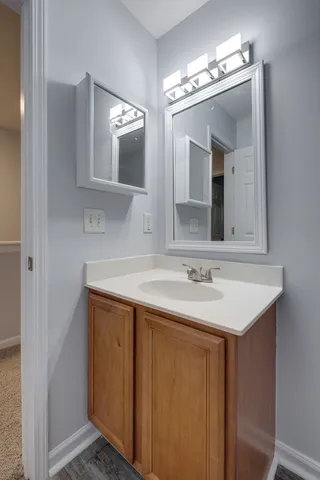 a bathroom with a sink and a mirror