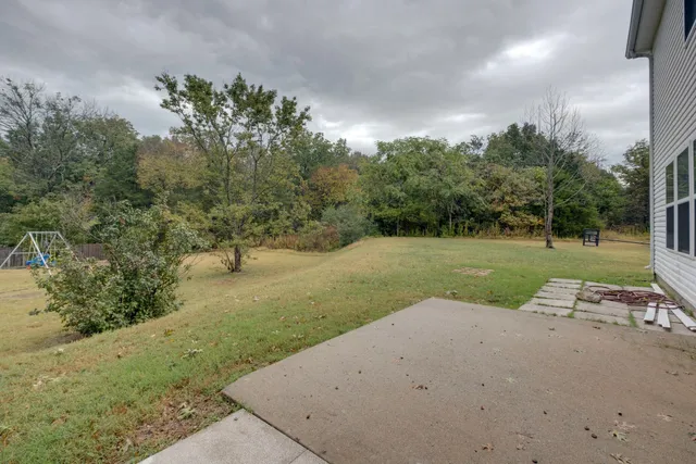 a view of a park with large trees