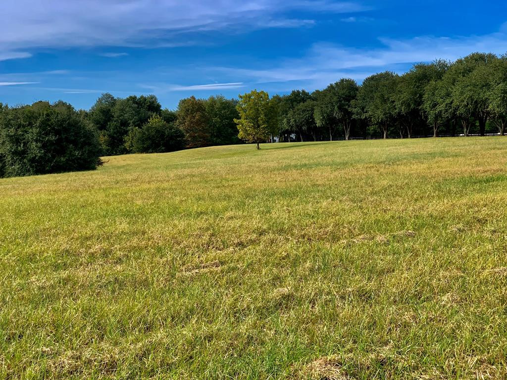 1147 Shaws Fork Road Aiken, SC 29805 - Photo 1 of 6