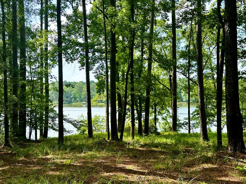 1054 Gardenia Lane Summit, MS 39666 - Photo 4 of 9 Photo 4