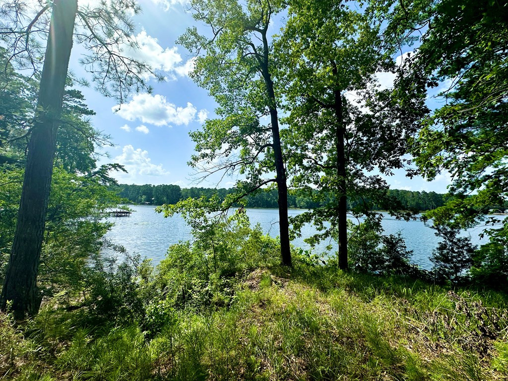 1054 Gardenia Lane Summit, MS 39666 - Photo 7 of 9 Photo 7