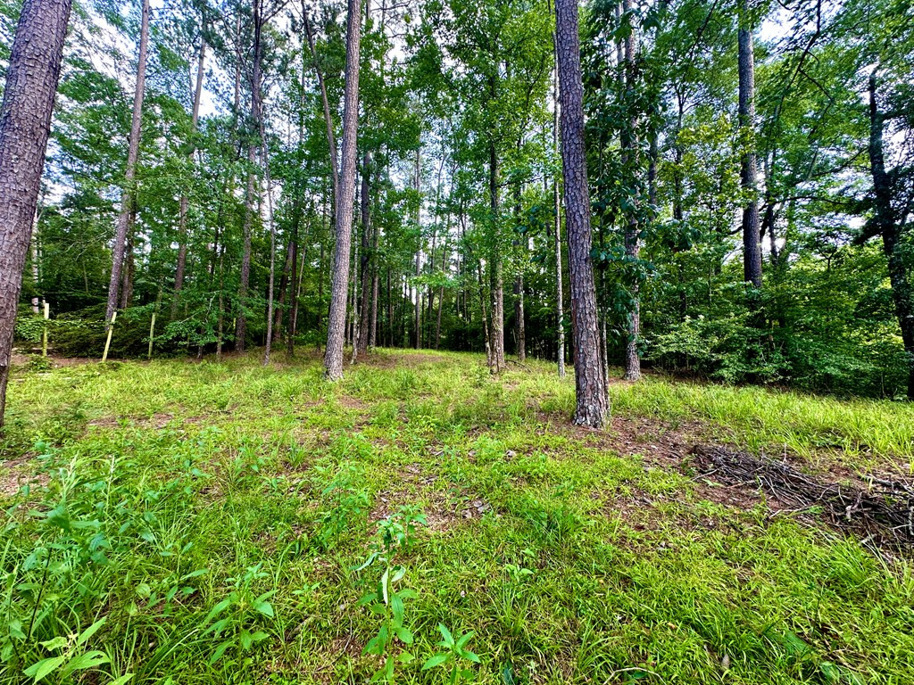 1054 Gardenia Lane Summit, MS 39666 - Photo 8 of 9 Photo 8