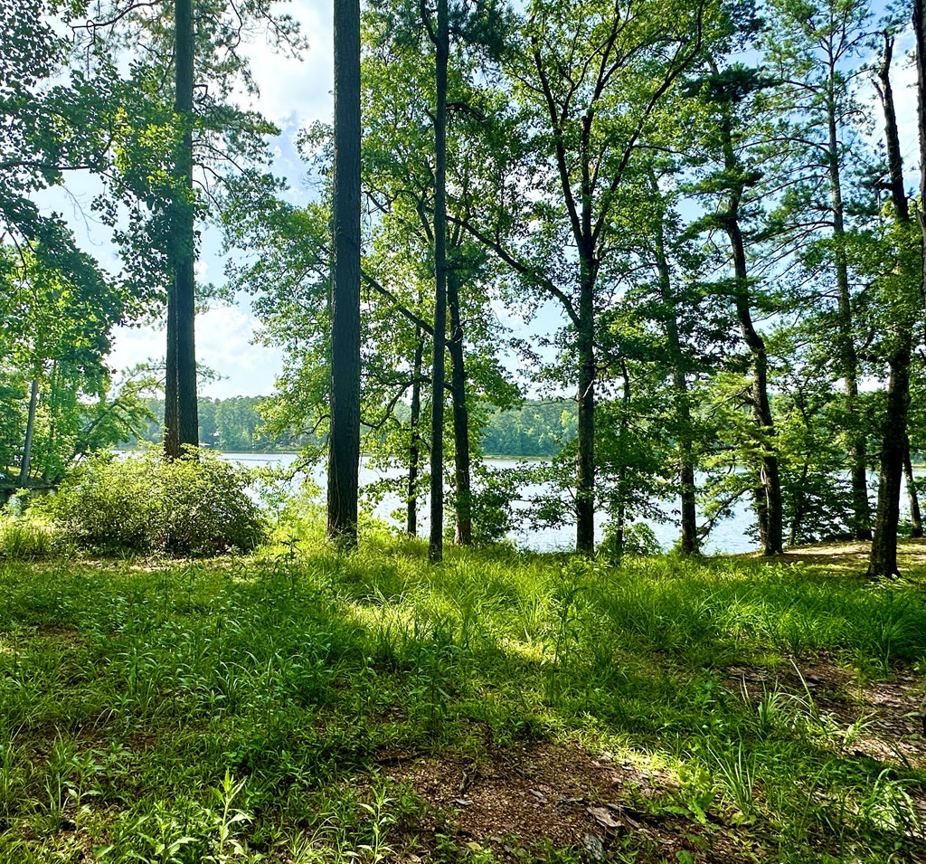1054 Gardenia Lane Summit, MS 39666 - Photo 9 of 9 Photo 9