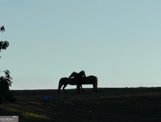 1191 Aderhold Rogers Road Commerce, GA 30530 - Photo 14 of 33 a room with a table chair and a potted plant