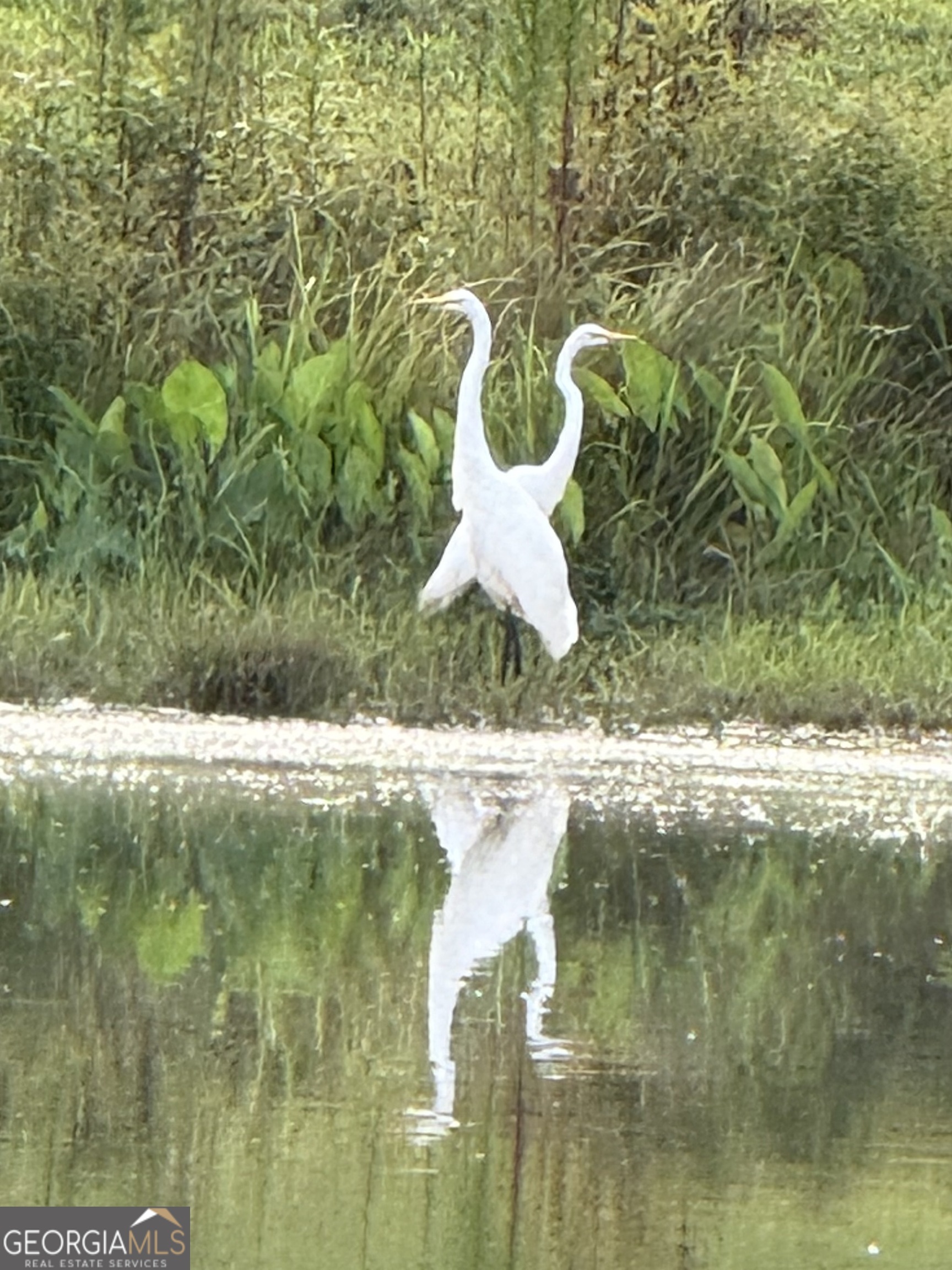 1191 Aderhold Rogers Road Commerce, GA 30530 - Photo 30 of 33 a close view of water heater