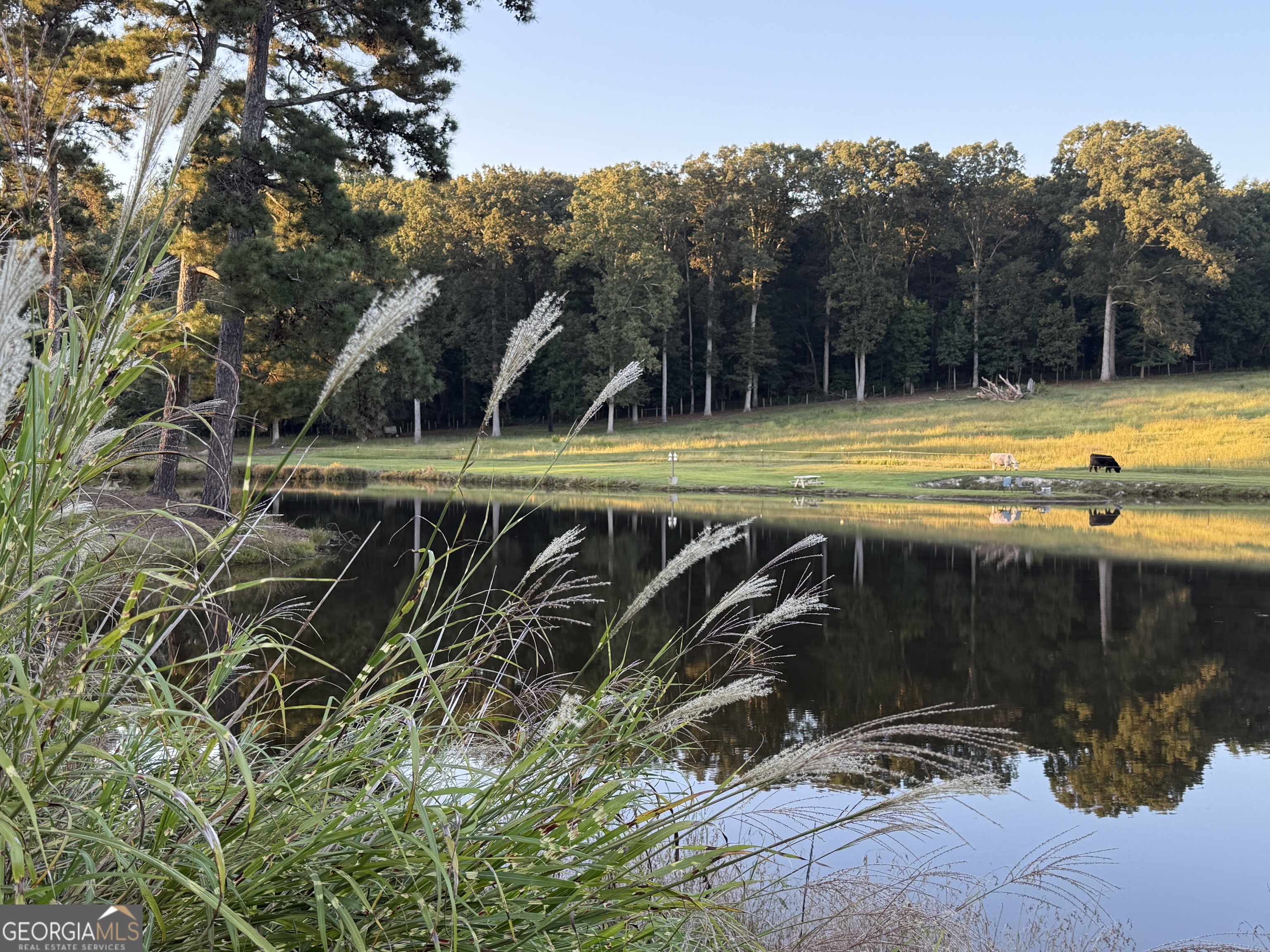 1191 Aderhold Rogers Road Commerce, GA 30530 - Photo 3 of 33 a view of a swimming pool with a patio and a yard