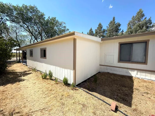 a view of backyard of house