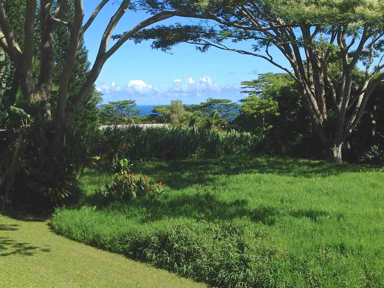 265 Kaokoa Way Haiku, HI 96708 - Photo 3 of 30 Gallery Image 3