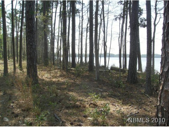 68 Mason Bay Road Merritt, NC 28556 - Photo 1 of 1 Primary Photo