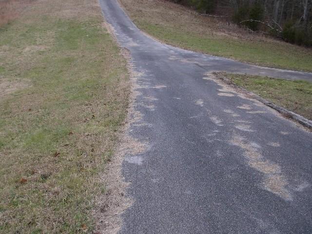 3846 Hickman Road Kodak, TN 37764 - Photo 4 of 12 3