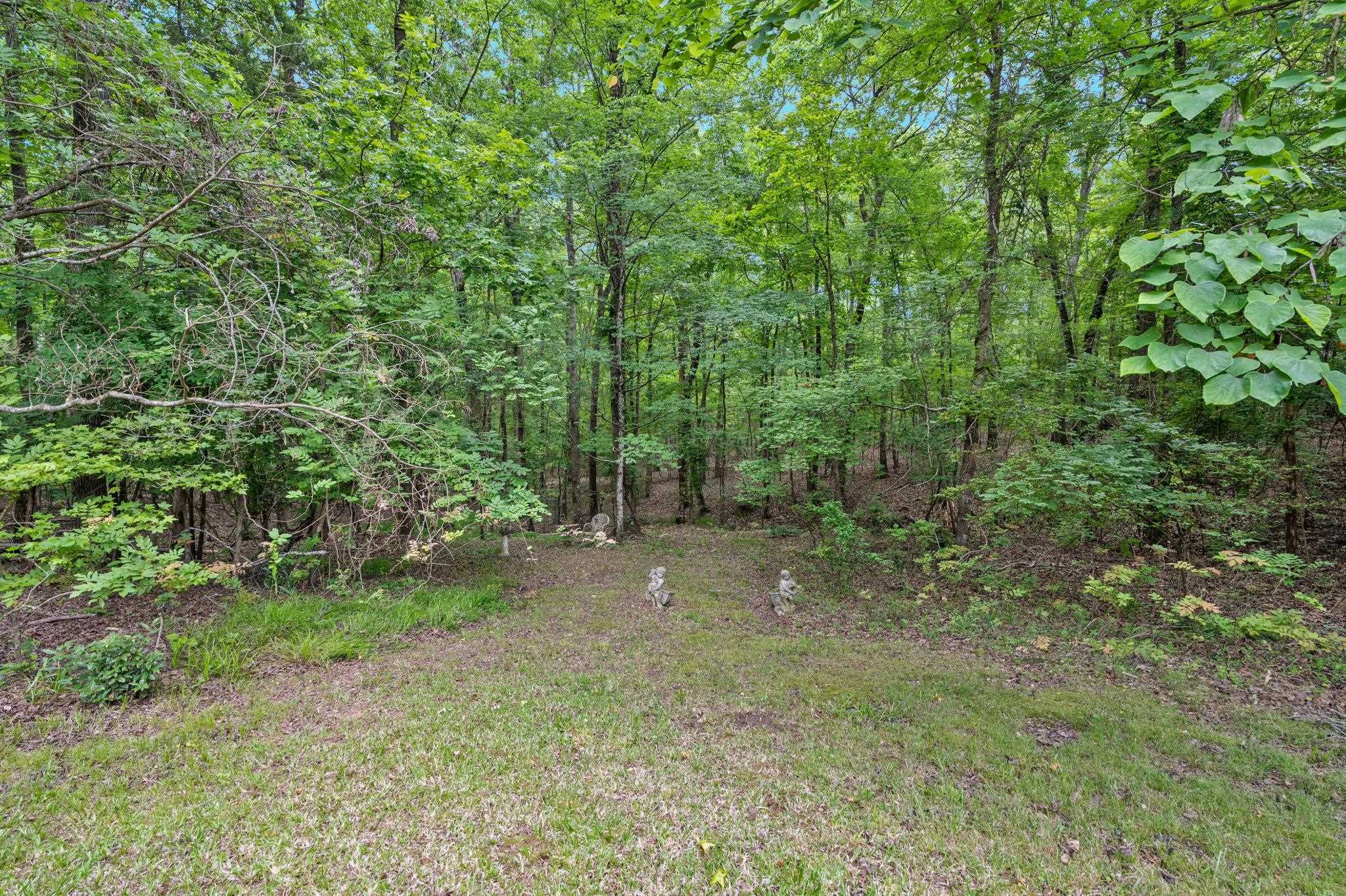 200 State Rd S-42-680 Pauline, SC 29374 - Photo 14 of 21 Gallery Image 14