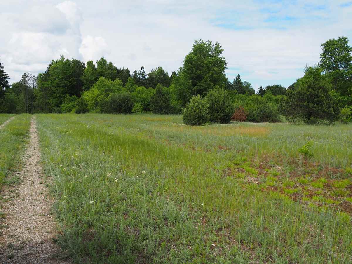 669 Rd Thompsonville Mi 49683 Road Beulah, MI 49617 - Photo 10 of 17
