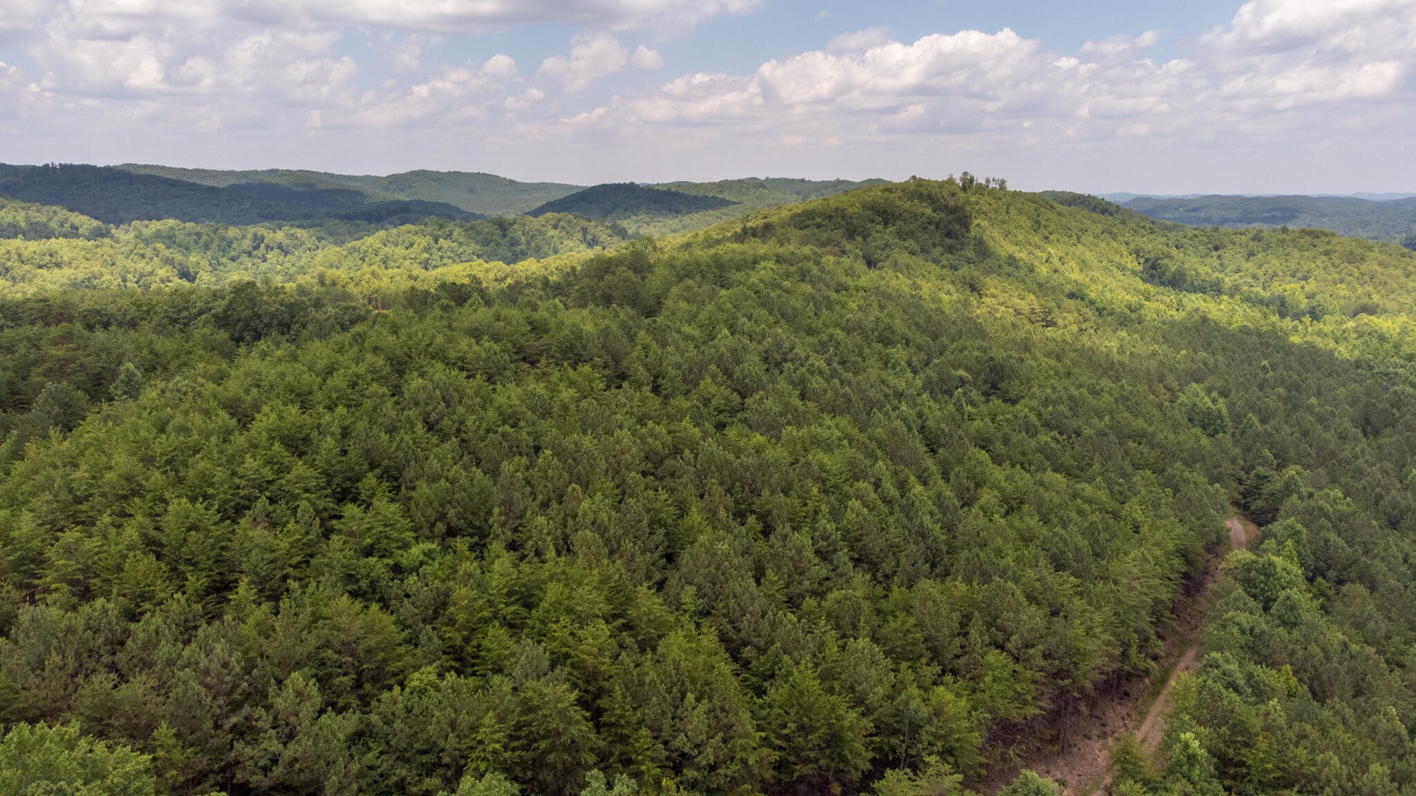 5 Owl Hollow Road Southwest McDonald, TN 37353 - Photo 30 of 32