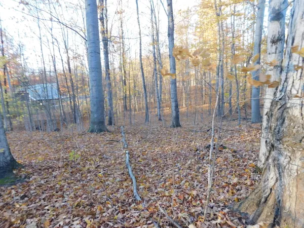 $49,900 | 14638 Pleasanton Highway, Bear Lake, MI 49614