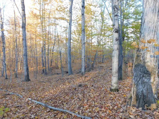 $49,900 | 14638 Pleasanton Highway, Bear Lake, MI 49614