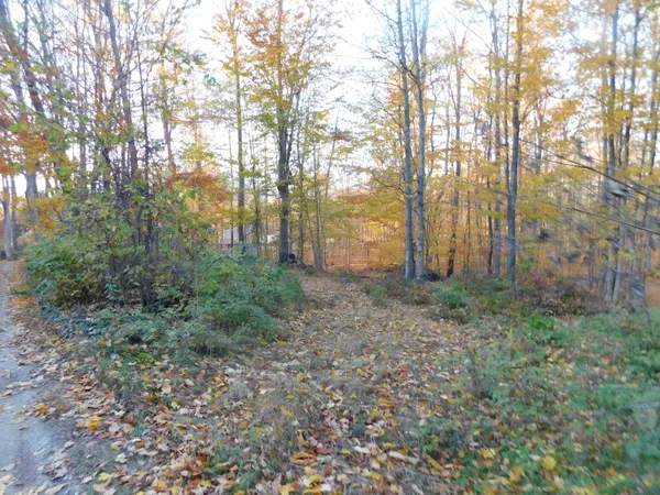 $49,900 | 14638 Pleasanton Highway, Bear Lake, MI 49614