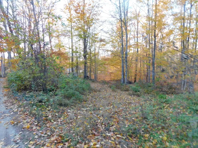 $49,900 | 14638 Pleasanton Highway, Bear Lake, MI 49614