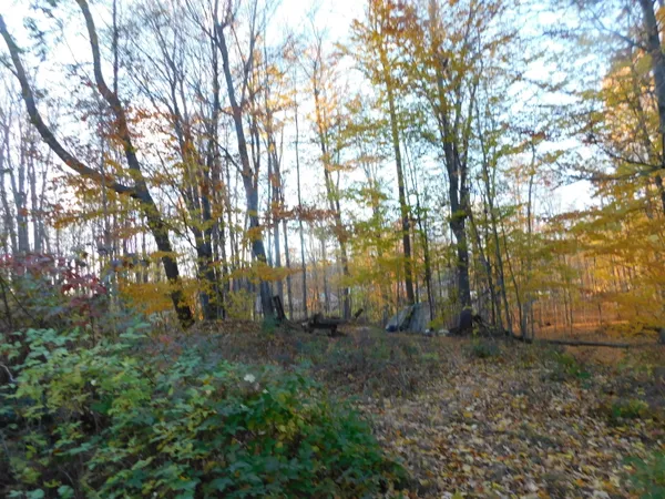 $49,900 | 14638 Pleasanton Highway, Bear Lake, MI 49614