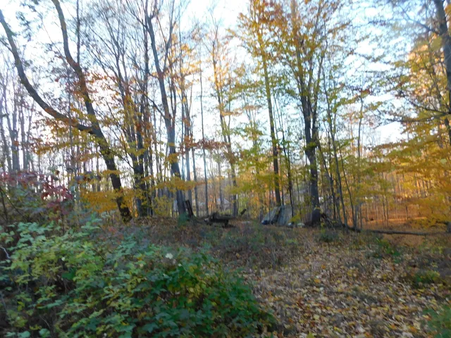 $49,900 | 14638 Pleasanton Highway, Bear Lake, MI 49614