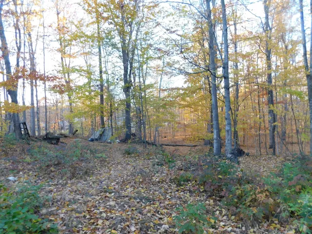 $49,900 | 14638 Pleasanton Highway, Bear Lake, MI 49614