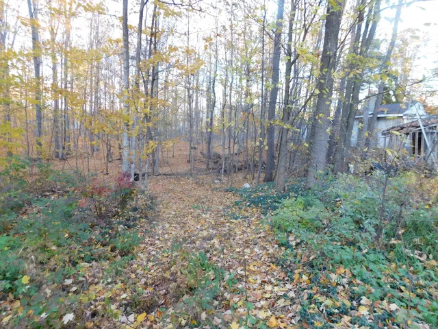 $49,900 | 14638 Pleasanton Highway, Bear Lake, MI 49614