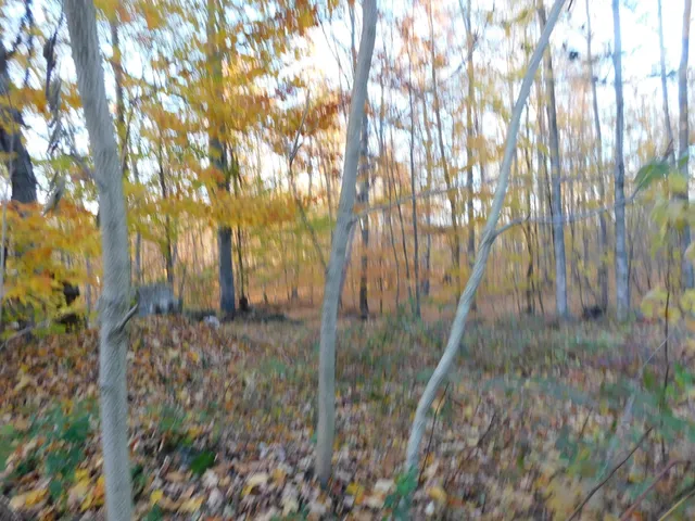 $49,900 | 14638 Pleasanton Highway, Bear Lake, MI 49614