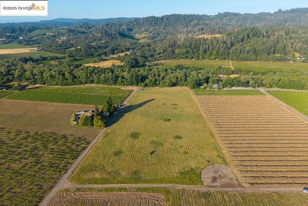 838 Dry Creek Road Healdsburg, CA 95448 - Photo 14 of 22 Aerial view of property and surrounding area with a forest and rural landscape